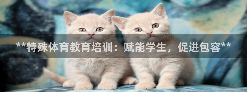 耀世娱乐圈主管什么：**特殊体育教育培训：赋能学生，