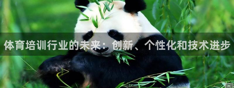 耀世平台注册网址是什么意思：体育培训行业的未来：创新