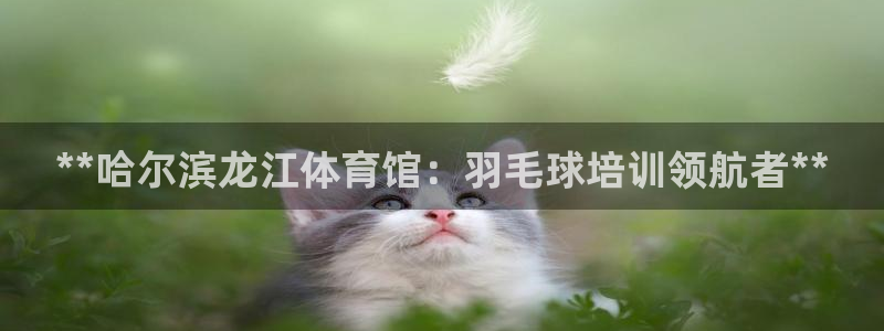 耀世娱乐注册官网入口：**哈尔滨龙江体育馆：羽毛球培