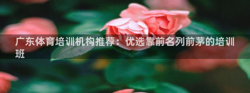 耀世集团是什么电影里的人物：广东体育培训机构推荐：优
