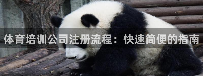 耀世平台是黑台子吗还是白台：体育培训公司注册流程：快速简便的