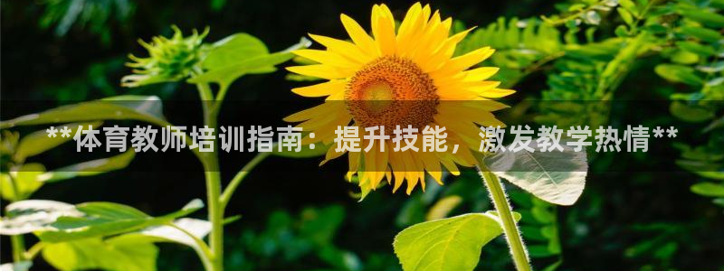 耀世平台想 58534I 平台：**体育教师培训指南