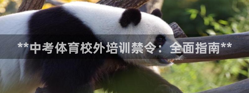 耀世平台主管代理是谁：**中考体育校外培训禁令：全面
