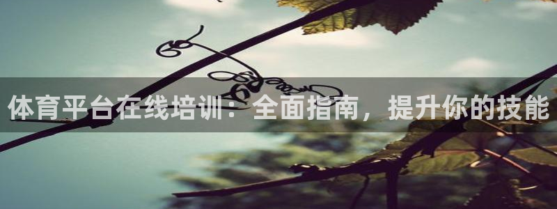 耀世而生什么意思：体育平台在线培训：全面指南，提升你的技能