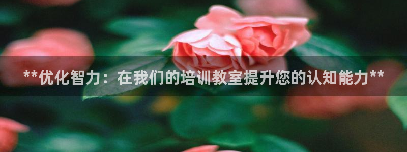 耀世雷霆官方版：**优化智力：在我们的培训教室提升您