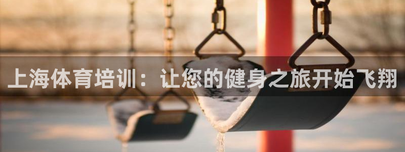 耀世娱乐软件下载安装：上海体育培训：让您的健身之旅开