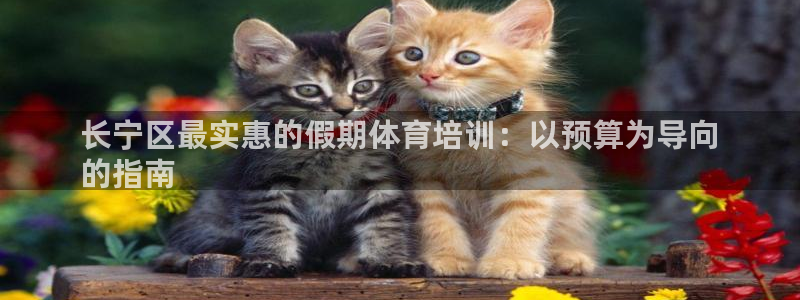 耀世平台哪个彩种是公平彩：长宁区最实惠的假期体育培训