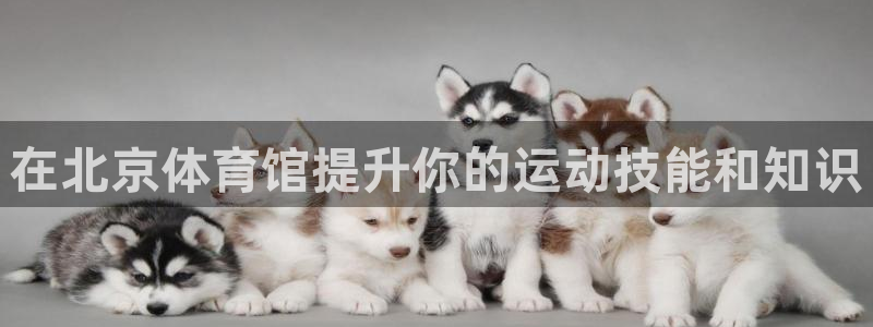 耀世盛启什么意思：在北京体育馆提升你的运动技能和知识