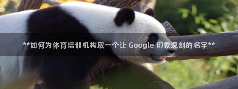 耀世平台易 411031 耀世：**如何为体育培训机