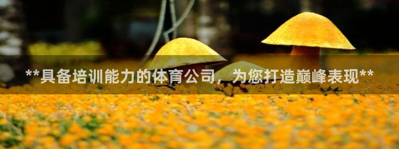 耀世天下的微信名字好吗：**具备培训能力的体育公司，