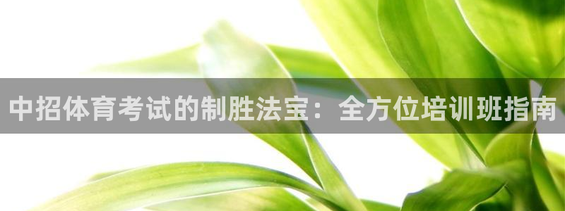 耀世娱乐挂机教程下载：中招体育考试的制胜法宝：全方位培训班指