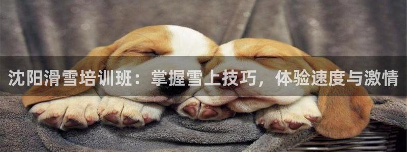 耀世平台代理怎么做任务：沈阳滑雪培训班：掌握雪上技巧