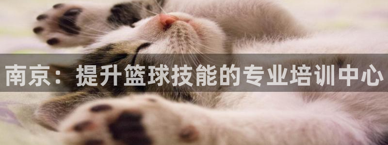 耀世娱乐挂机赚钱吗：南京：提升篮球技能的专业培训中心