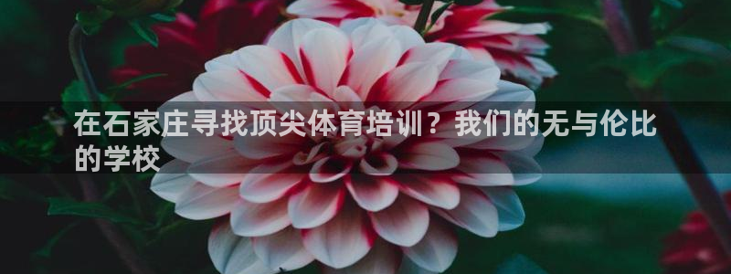 耀世娱乐提款机怎么用：在石家庄寻找顶尖体育培训？我们