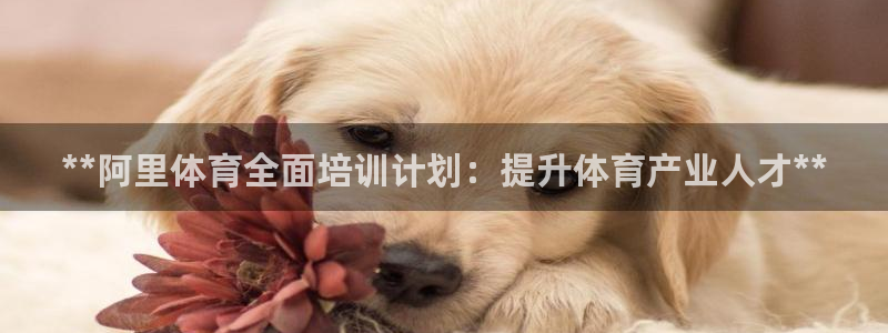 耀世娱乐下载最新版本安装苹果：**阿里体育全面培训计
