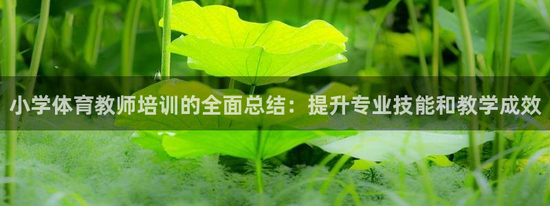 耀世平台管 5O6917 耀世：小学体育教师培训的全