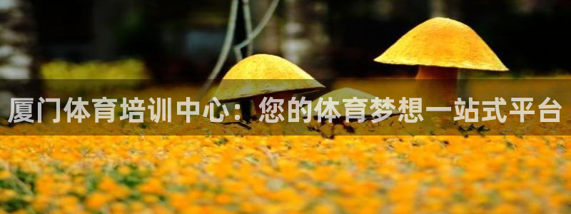 耀世平台最新注册地址在哪里：厦门体育培训中心：您的体