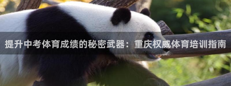 耀世平台客服24小时在线咨询电话：提升中考体育成绩的