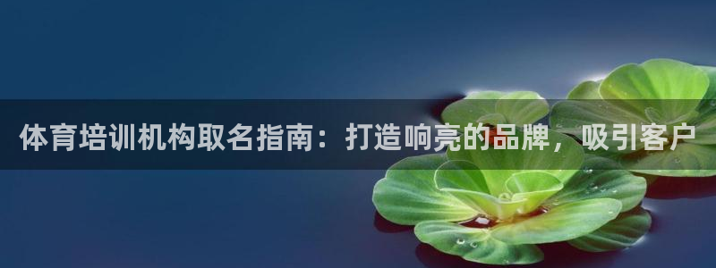 耀世娱乐科学：体育培训机构取名指南：打造响亮的品牌，