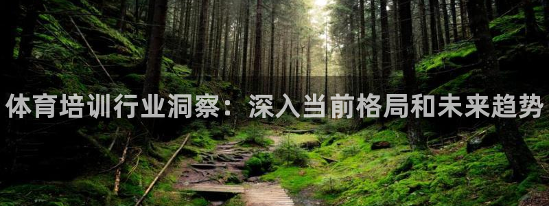 耀世的意思：体育培训行业洞察：深入当前格局和未来趋势