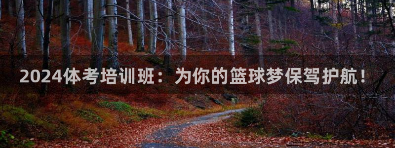 耀世娱乐挂机脚本下载：2024体考培训班：为你的篮球