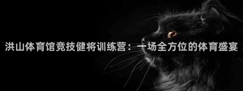 耀世娱乐注册账号：洪山体育馆竞技健将训练营：一场全方