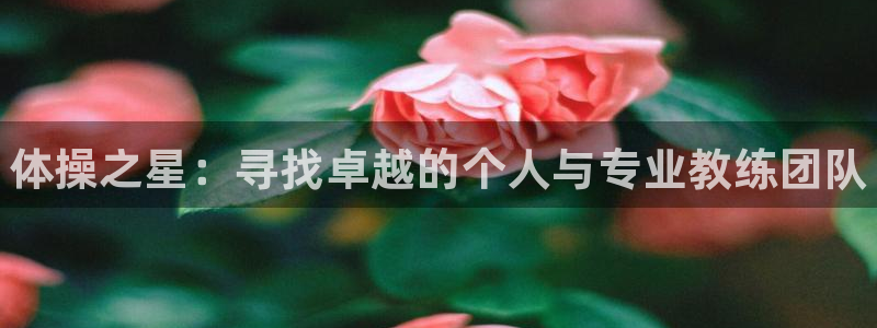 耀世娱乐平台官网登录入口：体操之星：寻找卓越的个人与专业教练