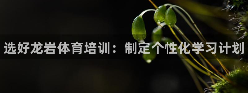 耀世平台的运营模式是什么：选好龙岩体育培训：制定个性化学习计